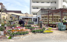 緑のマーケット